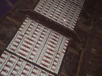 Калининградец спрятал в двойном дне грузовика 5 тысяч пачек сигарет