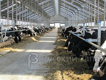  Замминистра: объем производимого в Калининградской области мяса полностью закрывает потребности жителей