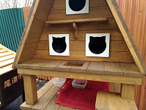 Опубликована программа празднования дня рождения зеленоградского кота