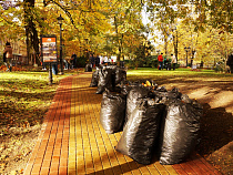 Около 1200 чиновников горадминистрации Калининграда вышли на субботник