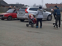 Пенфонд РФ: срок предоставления материнского капитала сокращен 