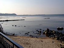 Калининградская пригородная пассажирская компания в 2016 году перевезла 3 млн человек