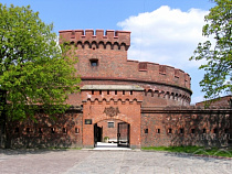 Калининградцы отметят День российской науки лекцией о янтаре и презентацией книги о Германе Брахерте