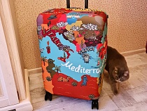 Названы регионы-лидеры по числу туристов в Калининграде на майские праздники