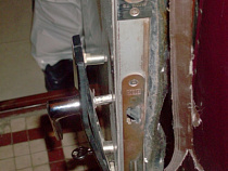 Под Калининградом обворовали агропромышленное предприятие