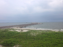 В Балтийске чуть не спасли из воды утку