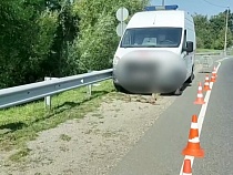 Водителя скорой помощи привлекают за тяжёлые травмы женщины в Шепетовке