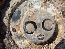 В Калининградской области нашли 3 неразорвавшихся снаряда и мину