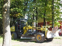 На Карташёва подрядчик уничтожает сохранённую Алихановым дубовую рощу