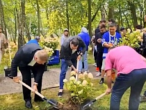 В Светлогорске звёзды КВН высадили клумбу гортензий