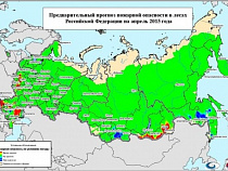 В апреле в Калининградской области велик риск возникновения лесных пожаров