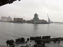 Рыбный порт в Калининграде отдают созданной под аукцион фирме из Москвы