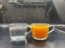 Бастрыкин шокирован ржавой водой под Калининградом