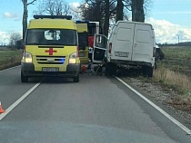 На трассе Калининград - Правдинск фургон врезался в дерево
