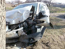 Очередное серьезное ДТП на Балтийской трассе: автомобиль врезался в дерево