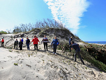 Волонтёры из Марокко, США, Колумбии приедут укреплять авандюну на Куршской косе