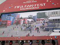 В Калининграде губернатор будет ходить на домашние матчи ЧМ-2018