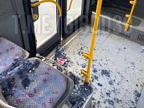 В Калининграде водитель автобуса завалил пятерых пассажиров