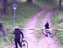 Немцы поплатились за фото с калининградским забором