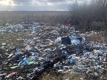 Под Черняховском нашли нелегальный скотомогильник