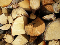 В Гусеве из-за сгоревших на улице дров пострадал магазин