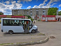 Беглый пёс укусил девочку за губу в центре Немана
