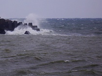 МЧС предупредило о начале усиления ветра