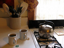 Население Калининградской области газифицировано на 66%