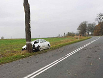 В Правдинском районе автомобиль «Мерседес» влетел в дерево