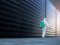 Как уничтожить тараканов: научный подход к решению проблемы