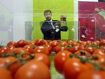 За 2014 год почти в два раза увеличился оборот подкарантинной продукции в Калининградской области