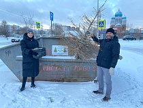 В Калининградской области назвали последний день сдачи новогодних ёлок