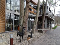 С кафе в Зеленоградске требуют 100 тыс. за синяки в игровой комнате