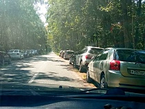 В День ВМФ экологи насчитали на Куршской косе десятки незаконных парковок