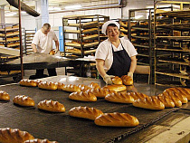 Николай Цуканов отправится на первый хлебозавод