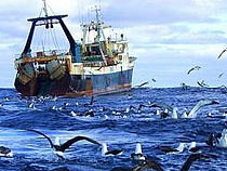 По итогам 2014 года вылов водных биоресурсов в Балтийском море признан одним из самых низких по стране