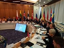 В России одним из главных экологических преступлений является валка и контрабанда леса