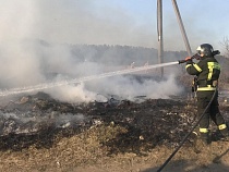 В Калининградской области сожжены поля на площади в сотни гектаров