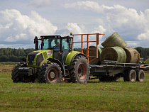 «Калининградская мясная компания» заготовила около 100 тысяч тонн кормов для крупного рогатого скота с начала 2019 года