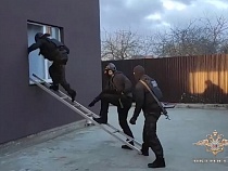 Банда наркофермеров выращивала коноплю в Полесском и Озёрском районах