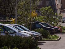 «Многие автовладельцы уже в разработке»: в Калининграде заявили о новых массовых штрафах