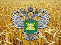 В трех районах Калининградской области прошел фитосанитарный рейд