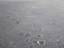 МЧС: в Калининграде мужчина вышел на лёд и утонул