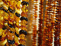 Новый вид янтарного туризма предложили ученые из Калининграда