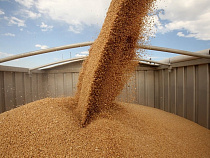 В Калининградскую область за неделю ввезли более 8 т зерна