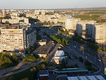 Власти раскрыли уровень смертности 