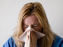 В Калининградской области пять человек заболели свиным гриппом