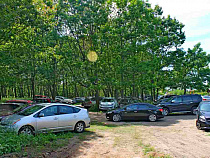 Власти Зеленоградска: решено оставить землю у Малиновки для парка (интерактивная схема)