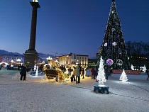 Назван день появления главной ёлки Нового года в Калининграде