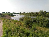 Женщина из Славского района променяла своих четверых детей на бутылку